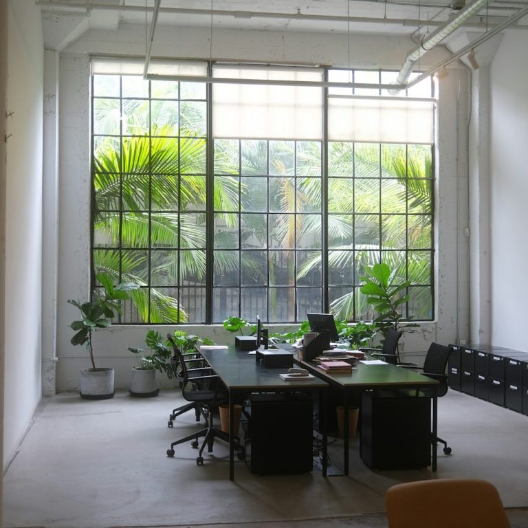 Bright office space with large windows, greenery, and a central meeting table small business digital marketing office